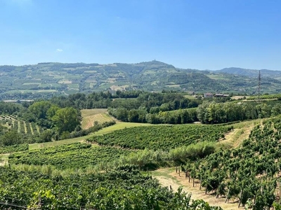 Sud Piemonte: Langhe – Roero - Monferrato Rustico - Cascina - Casale - CODICE: 964