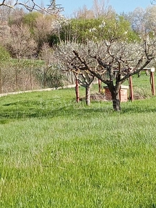 Terreno Agricolo in vendita a Baranello case di Scenza