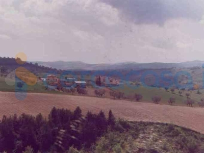Terreno agricolo in vendita a Bellante