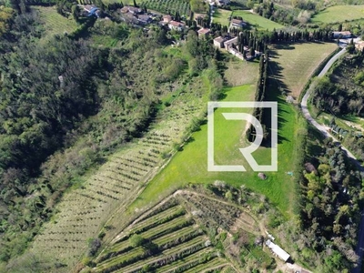 Terreno Agricolo in vendita a Bertinoro