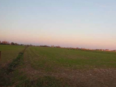 Terreno Agricolo in vendita a Borgo Virgilio strada comunale caselle