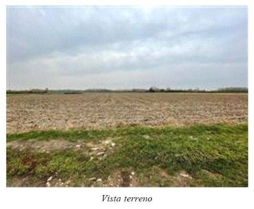 Terreno Agricolo in vendita a Cairate vicolo Brescia