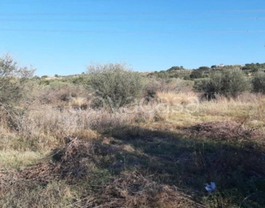 Terreno Agricolo in vendita a Campomarino via della Transumanza