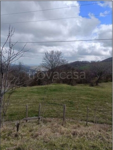 Terreno Agricolo in vendita a Casteldelci località Fragheto