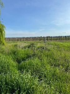 Terreno Agricolo in vendita a Castelfranco Emilia via Cimitero