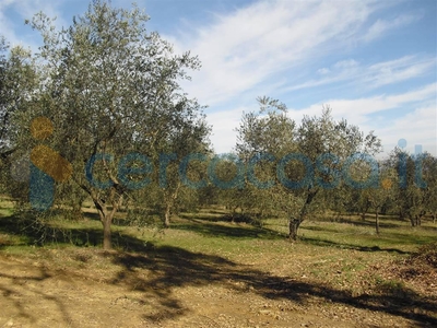 Terreno agricolo in vendita a Colle Di Val D'elsa