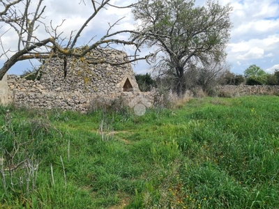 Terreno Agricolo in vendita a Gallipoli contrada Raho