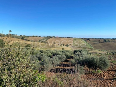 Terreno Agricolo in vendita a Guglionesi colle Delle Sentinelle