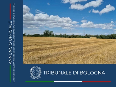 Terreno Agricolo in vendita a Imola via Zolino snc