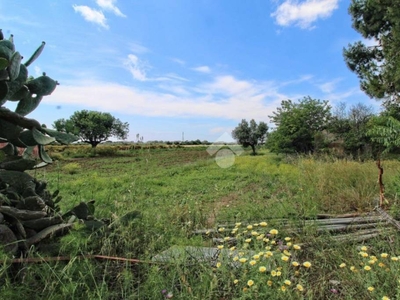 Terreno Agricolo in vendita a Isola di Capo Rizzuto località Santa Domenica