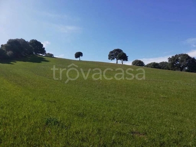 Terreno Agricolo in vendita a Loiri Porto San Paolo