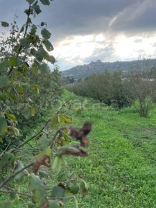 Terreno Agricolo in vendita a Magliano Alfieri via Valmorterra, 1