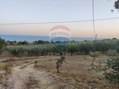 Terreno Agricolo in vendita a Mattinata via Contrada Gravaglione, snc