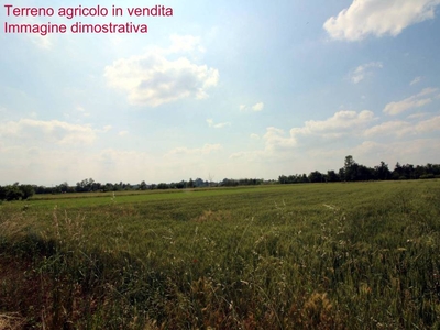 Terreno Agricolo in vendita a Mondovì corso Italia