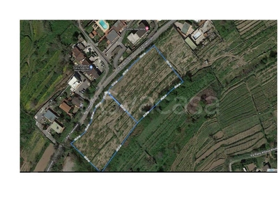 Terreno Agricolo in vendita a Pozzuoli via Trepiccioni