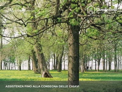 Terreno Agricolo in vendita a Racale complanare Strada Statale 274