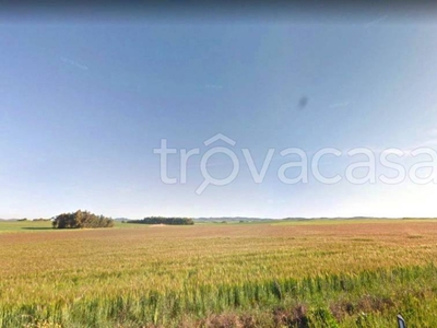 Terreno Agricolo in vendita a San Gavino Monreale strada vicinale Cerbu
