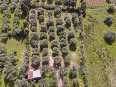 Terreno Agricolo in vendita a San Vero Milis via Turr'e sa Mora, 52