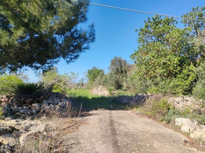 Terreno Agricolo in vendita a Sannicola sp53