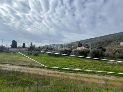 Terreno Agricolo in vendita a Vecchiano via di Cafaggio