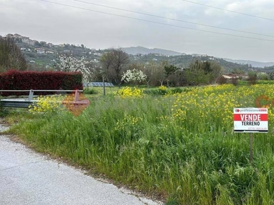 Terreno Agricolo in vendita ad Anagni via prato dell'olmo, snc