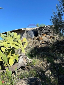 Terreno agricolo in Vendita in Strada Iazzo Vecchio a Santa Maria di Licodia