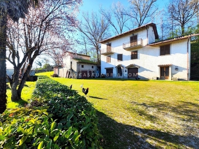 Villa Bifamiliare in vendita a Città di Castello