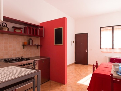 Appartamento con 1 camera da letto in affitto a Ca' Granda, Milano