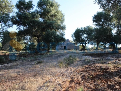 Appartamento da ristrutturare, in vendita in C.da Colacavallo, Carovigno