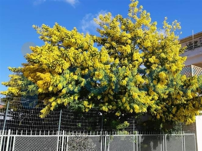 Appartamento in ottime condizioni, in vendita in Via Parini 34, Imperia