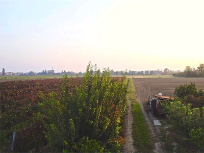 CARPI, BELLISSIMA PROPRIETA' CON TERRENO