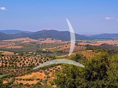 Casale in Vendita a Castiglion Fiorentino