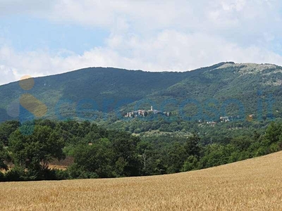 Rustico casale da ristrutturare, in vendita in Località Melezzole, Montecchio