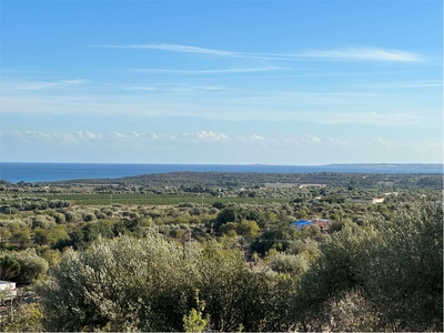 Terreno agricolo edificabile con vista mare