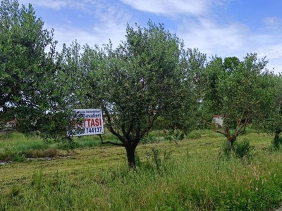Terreno Agricolo in affitto, Cascina san giorgio