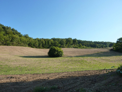 Terreno agricolo all'asta Parma, Via Del Garda, Parma