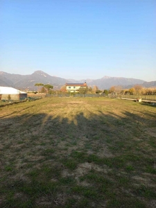 terreno agricolo in affitto a Pietrasanta