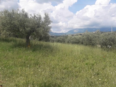 terreno residenziale in vendita a Alanno