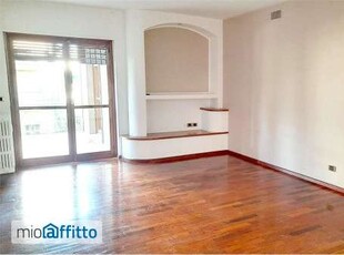 Appartamento arredato con terrazzo Centro