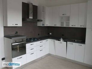 Appartamento arredato con terrazzo Lissone