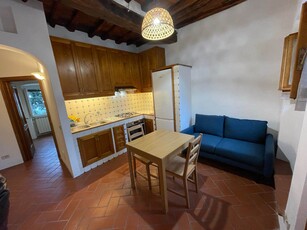 Appartamento in vendita a Carmignano Prato Artimino