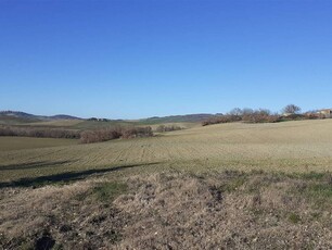 Azienda agricola in vendita a Castiglione d'Orcia, Val d'Orcia