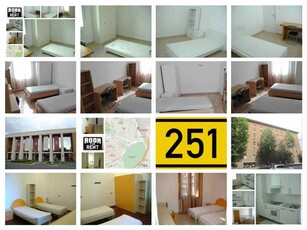 CAMERE SINGOLE 400 oppure POSTI LETTO 260 euro ROMA Bologna Tiburtina