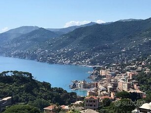 CAMOGLI prima collina a 600 mt dal mare vendiamo V