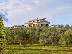 Incantevole Tenuta Agricola in Vendita a Campagnatico - Abbraccia la Bellezza della Maremma Toscana