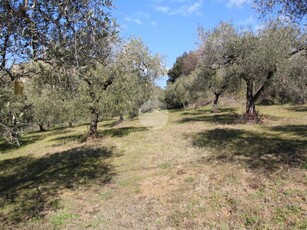 Ter. agricolo in vendita