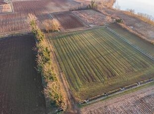 Terreno agricolo