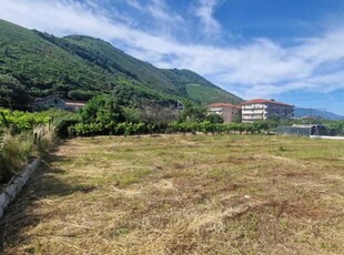 terreno agricolo in vendita a Mercato San Severino