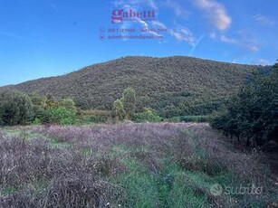 Terreno Agricolo Rocchetta e Croce