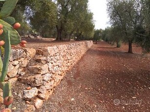 Terreno Edificabile Ostuni Terrazzato